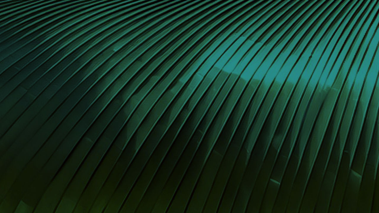 THM_EPM_Allocating_Net_New